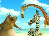 Превью кадра #39253 из мультфильма "Мадагаскар"  (2005)