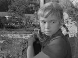 Превью кадра #60269 из фильма "Добро пожаловать, или посторонним вход воспрещен"  (1964)